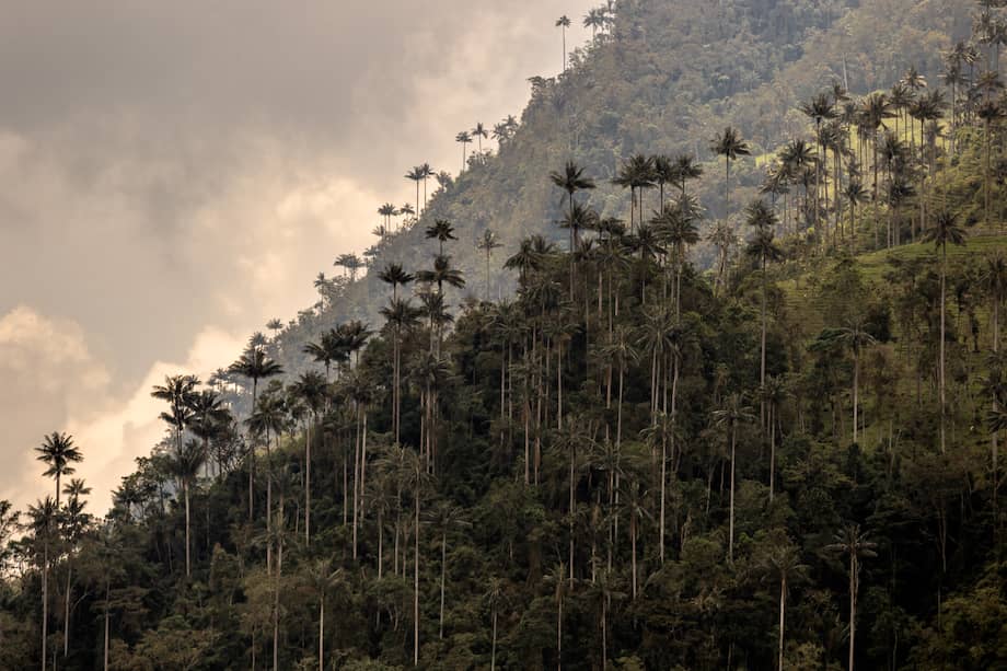 Colombia, país megadiverso / Foto Felipe Villegas Instituto Humboldt