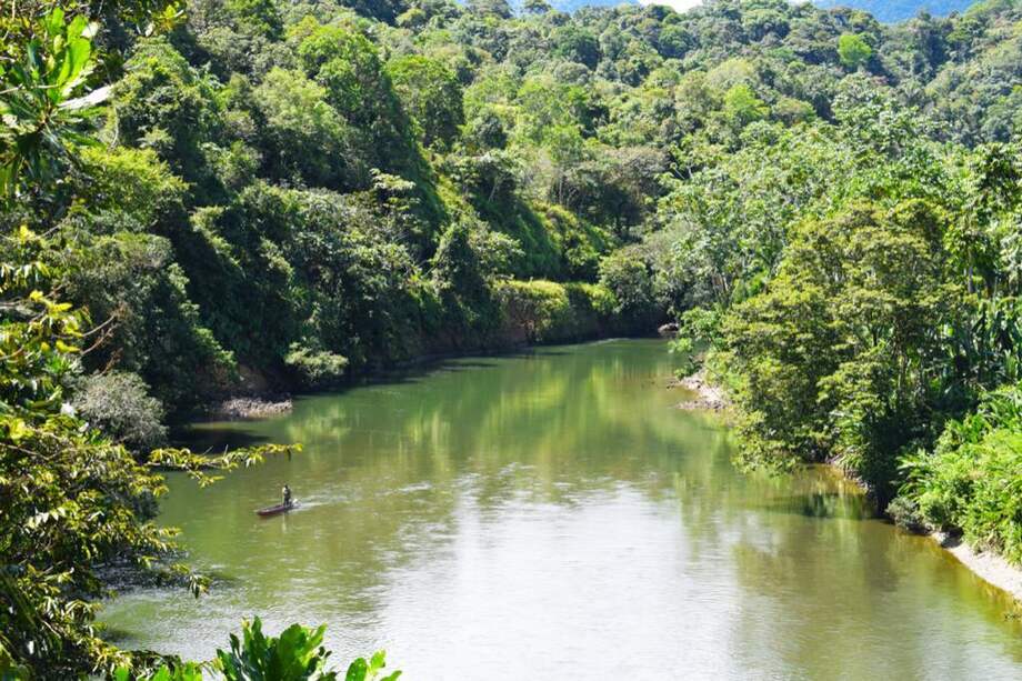 Entre los servicios que brinda el Parque Nacional Natural Farallones de Cali está el abastecimiento de agua.