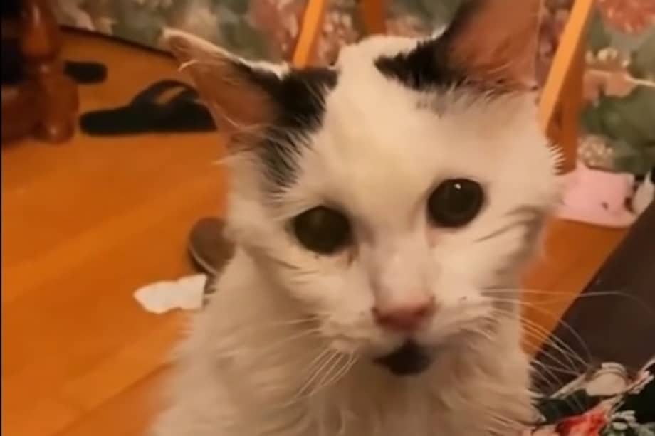 La historia de Margo despertó una oleada de emociones en redes sociales.