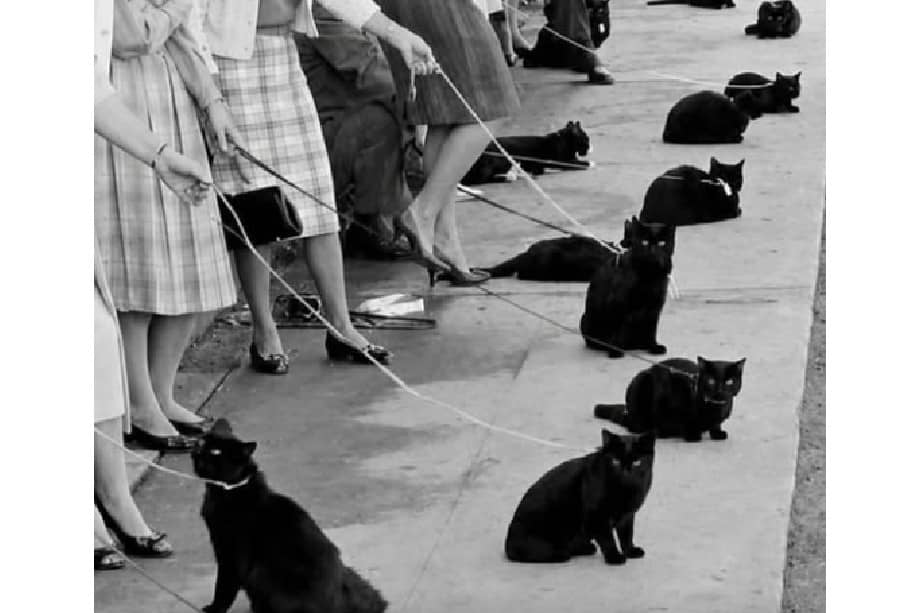 El fotógrafo Ralph Crane inmortalizó este curioso casting para la revista LIFE.