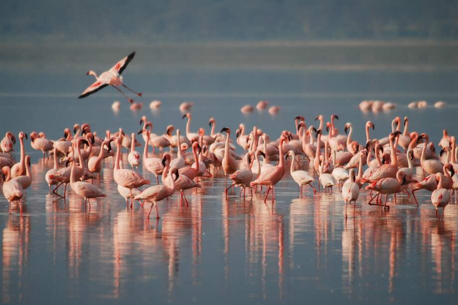 Foto de referencia. / Pixabay