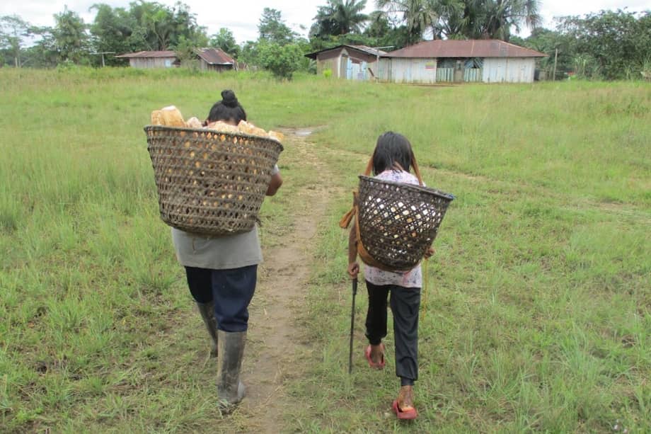 El 30 de junio, la Agencia Nacional de Tierras (ANT) expidió un acuerdo con el que se constituyó el Resguardo Indígena La Victoria.