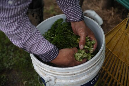 Población de más de 55 años: la que más impulsó la caída del desempleo