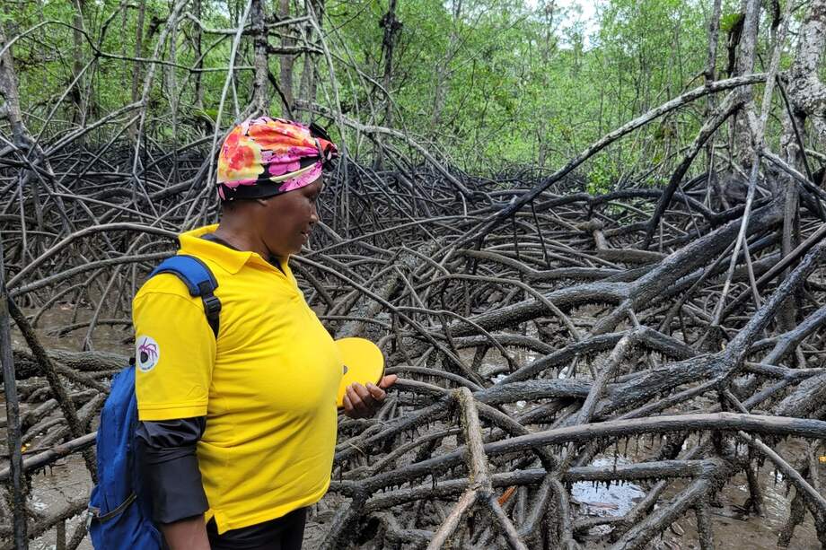 El ente internacional le solicitó a Colombia que adopte las medidas necesarias para proteger la vida de los 13 líderes sociales y que estos puedan volver a su comunidad de manera segura.