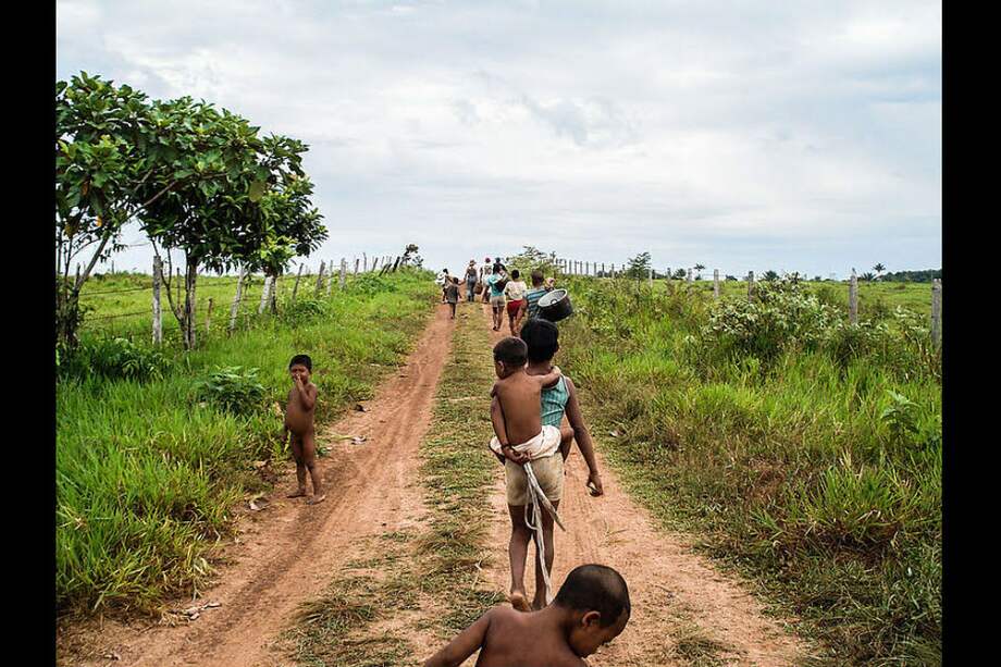 Los nukak maku son una etnia amenazada. Solo quedan 200 familias y necesitan regresar a su territorio ubicado en las selvas del Guaviare al sur de Colombia. / UNAL