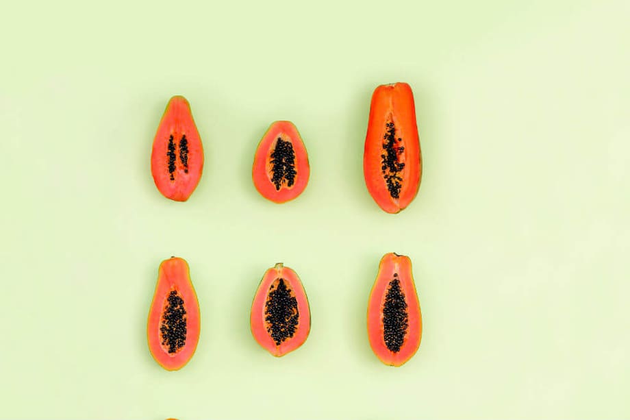 Según el sexólogo Carlos Quintero Malo, el tamaño de la vagina y de la vulva no tiene ninguna relación con el placer sexual. / David Schwarz