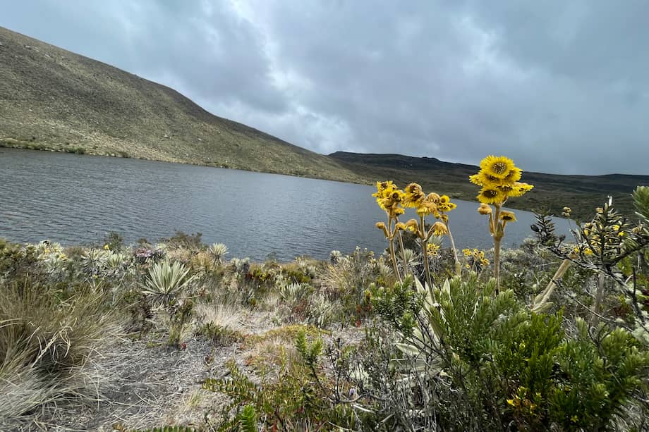 Se estima que Sumapaz tiene unas 30 lagunas. La cifra varía según la época del año. En la foto, laguna Colorados.