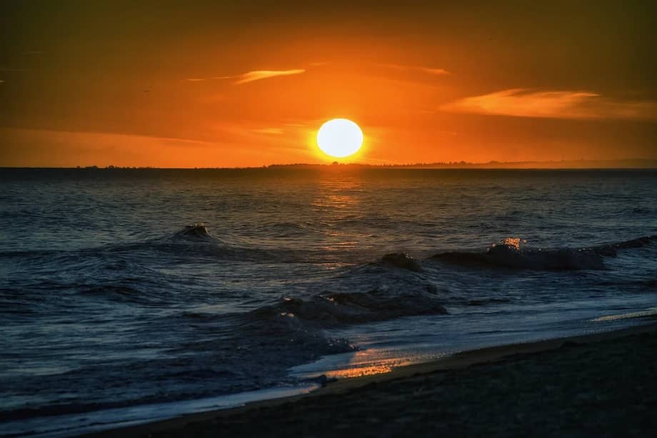 Imagen de referencia.