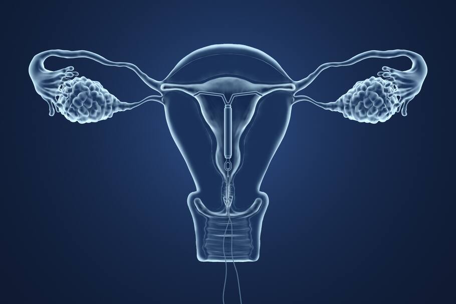 3d rendered illustration of an x-ray of the uterus on a blue background.