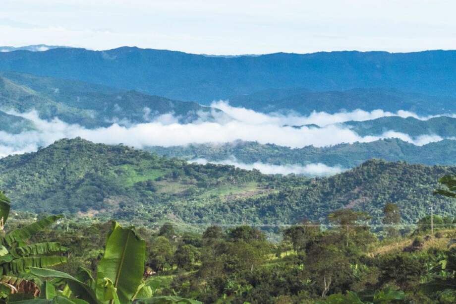 El Plan Departamental de Agua de Cundinamarca es el que más recursos recibe. / Cortesía