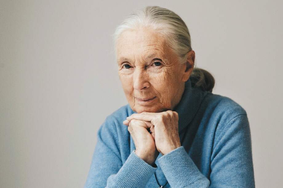 Jane Goodall, primatóloga británica. / AP