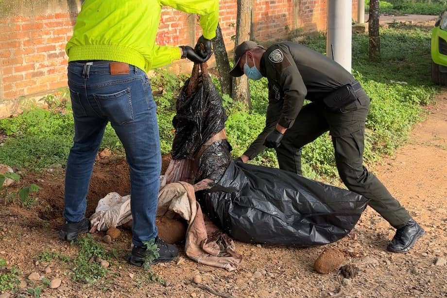El atacante tiene otro animal en su vivienda, según han alertado los vecinos.