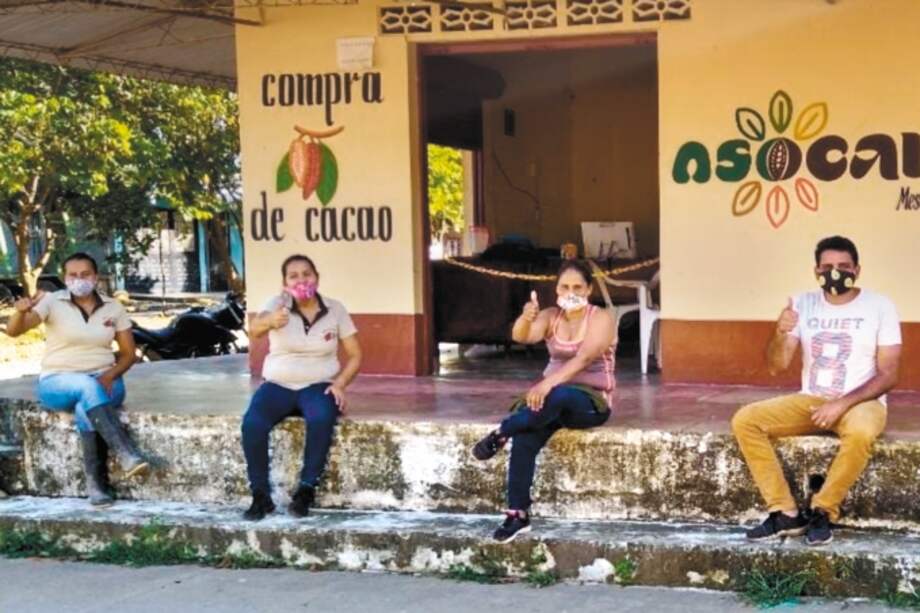 El trabajo de Asocamet consiste en comercializar cacao en grano seco. / Cortesía