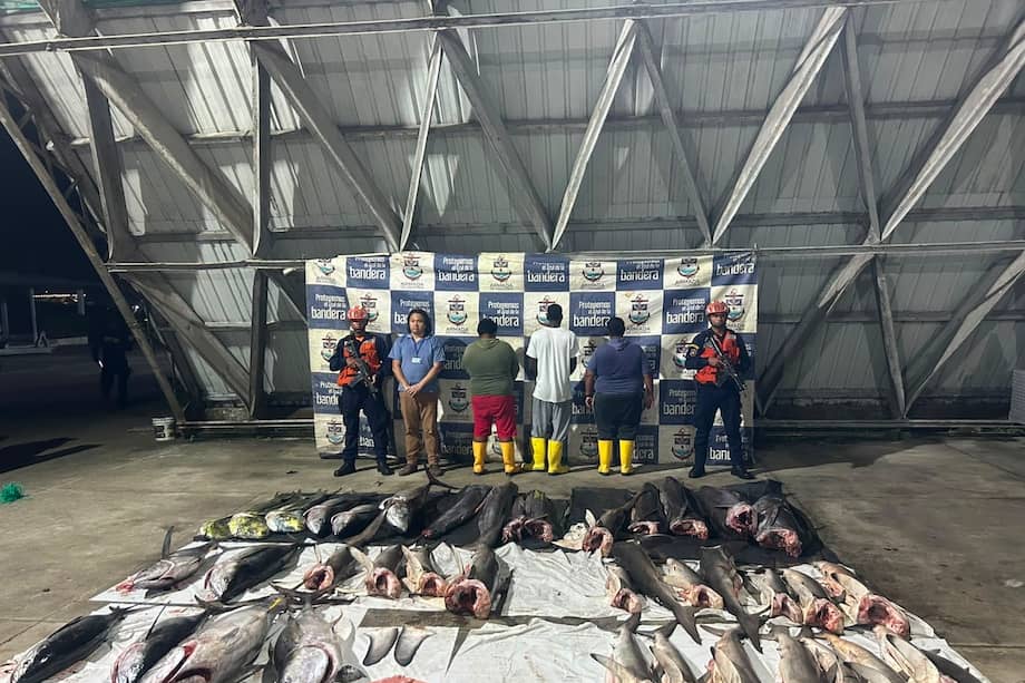 Imagen de la pesca ilegal decomisada por la Armada.