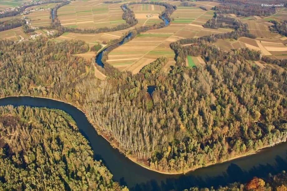 Río Mura, que aún fluye sin ser alterado a través de Austria, Eslovenia, Hungría Croacia y Serbia. / Matevž Lenar?i?-WWF