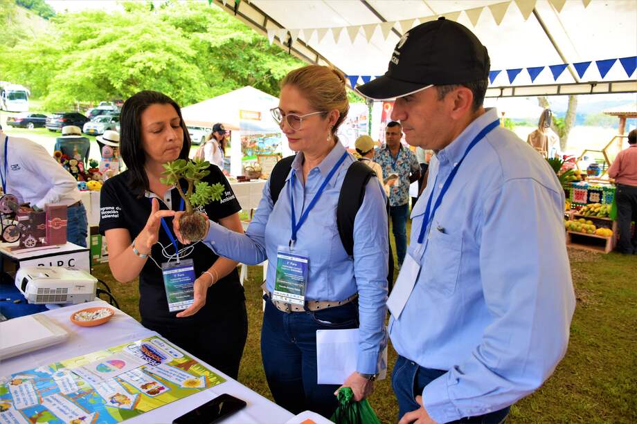 Topocoro: destino turístico sostenible, oportunidades, retos y desafíos para el desarrollo turístico del embalse.