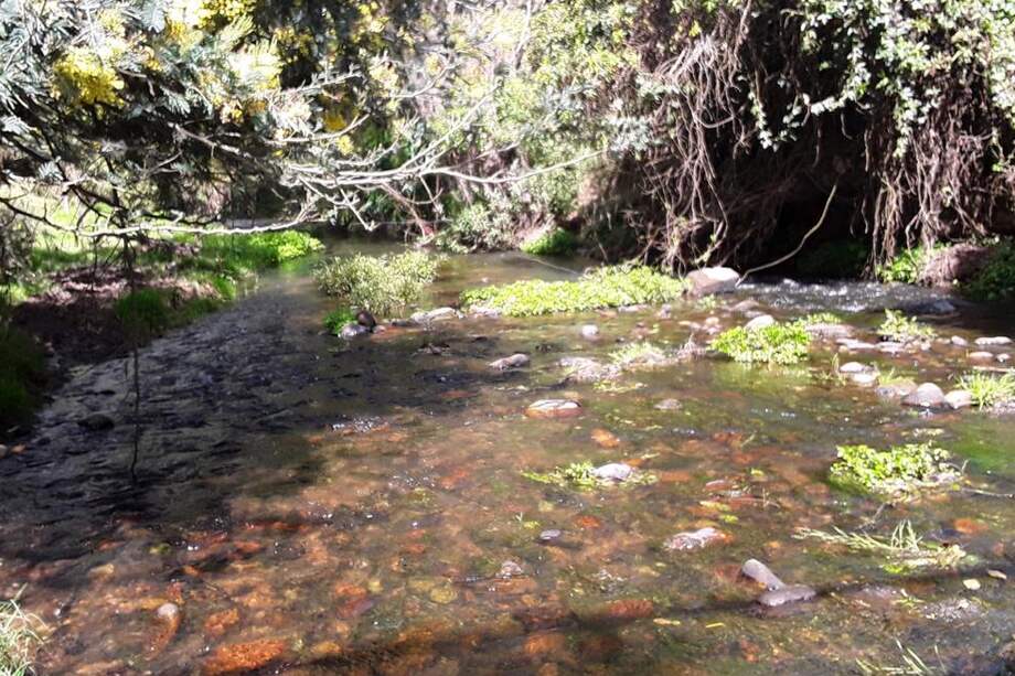 El objetivo es ahorrar agua en los embalses de la cuenca alta del río Bogotá (Tominé, Sisga y Neusa).