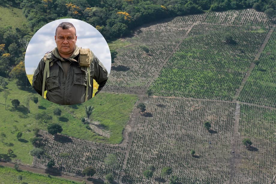 Entre 2017 y 2024 el hato bovino creció 86,1 % en Caquetá, Meta, Putumayo y Guaviare.