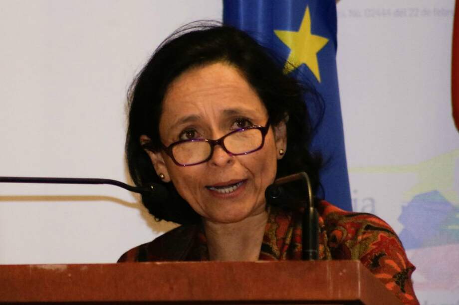 Luz Marina Monzón, defensora de derechos humanos. / Gustavo Torrijos