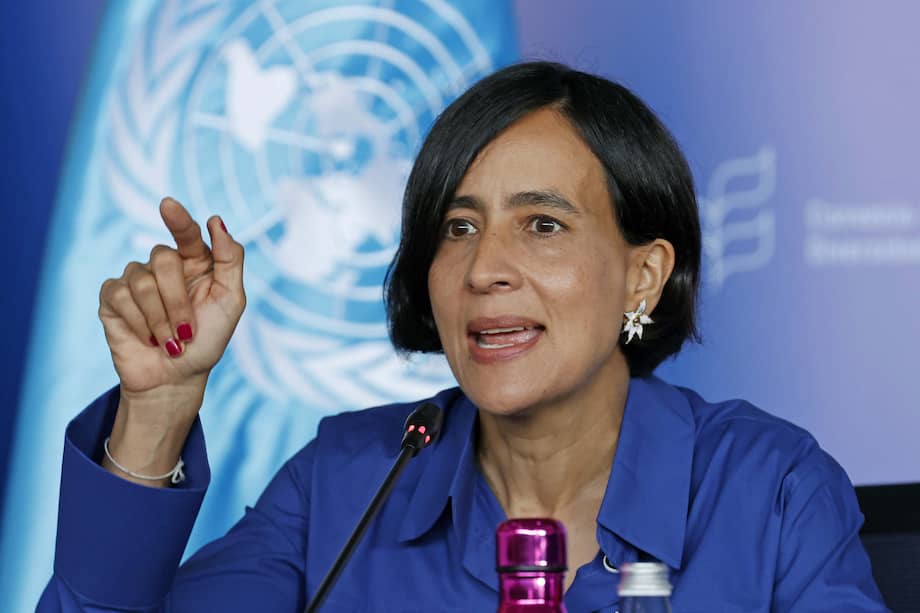 “Muhamad estuvo ahí, dando la batalla, y durante su administración se dieron varias licencias para proyectos renovables”: Teresita Goyeneche