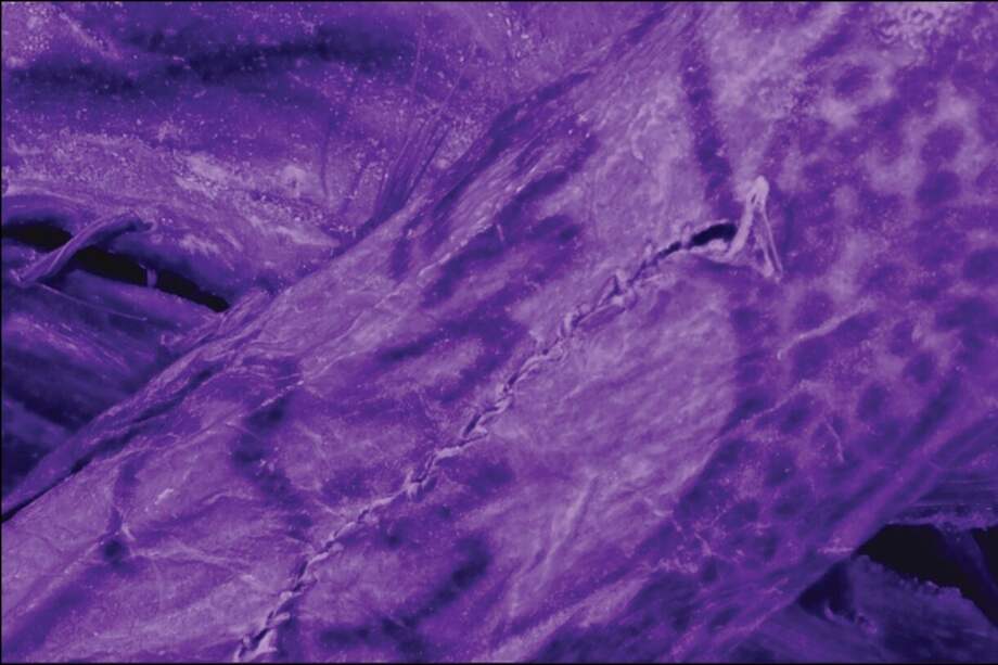 Según los investigadores, los estudios previos se centraban principalmente en las dimensiones estilísticas y simbólicas de estos tatuajes.