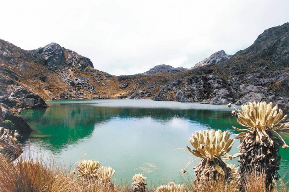 Eco Oro buscaba explotar 12,6 millones de onzas de oro. / Archivo El Espectador