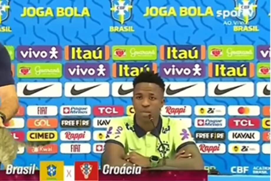 Varias personas tacharon de "maltrato" la forma en que el jefe de prensa agarró al gato. No obstante, la rueda de prensa siguió sin prestarle atención al animal.