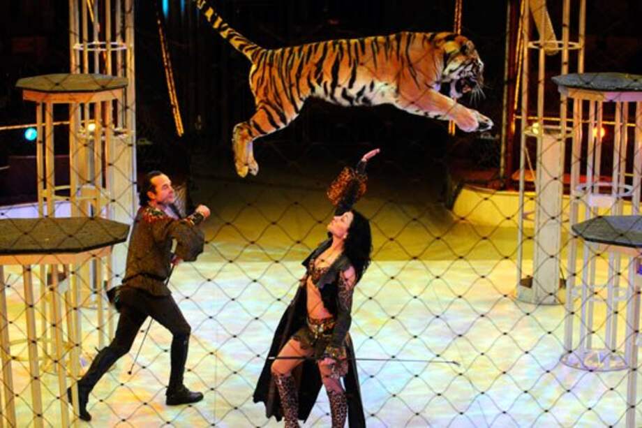 Senado aprueba prohibición de animales en circos