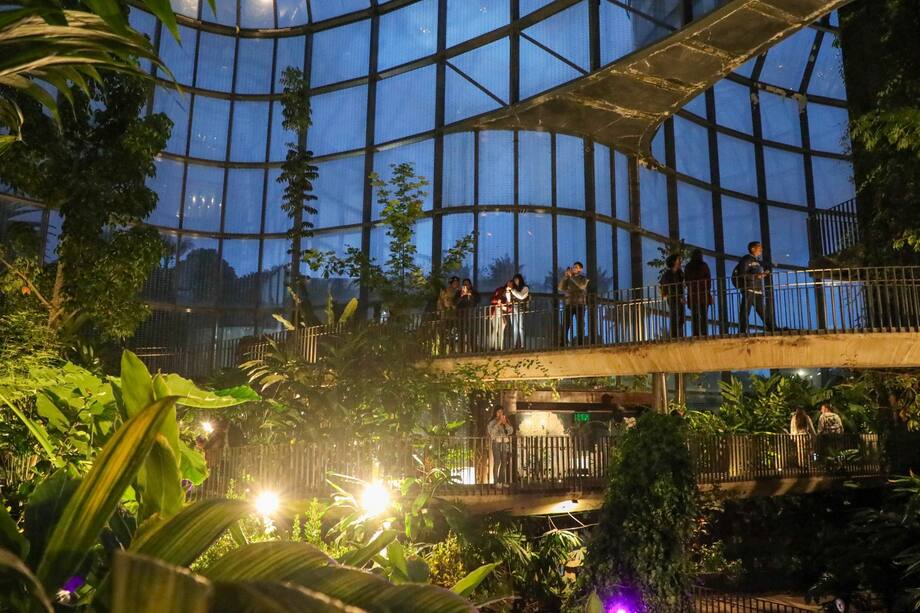 Desde el próximo 15 de diciembre, los organizadores del festival de luces MajestuOsos dieron una sorpresa a sus visitantes.