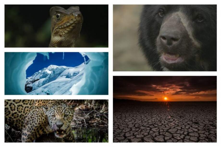 Colombia destacó en España sus paisajes a través de "Colombia Magia Salvaje"