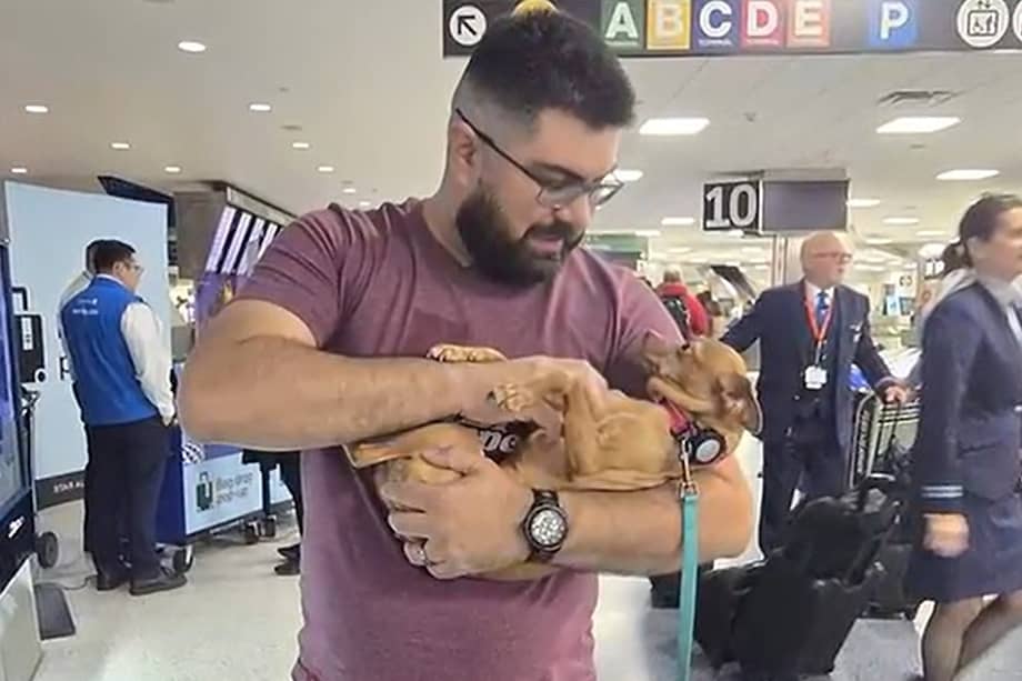 El reencuentro de Bella y su familia fue profundamente emotivo.