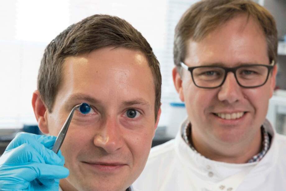 Investigadores de la Universidad de Newcastle que dirigieron la investigación de la córnea. / Pixabay