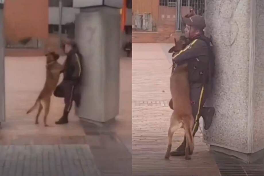 Después de que ambos jugaron, se dieron un abrazo y mostraron el fuerte vínculo que tienen como compañeros.