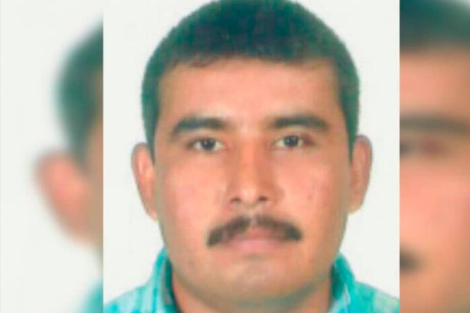 Abatido alias 'Venado', comandante del Bloque Libertadores de Vichada