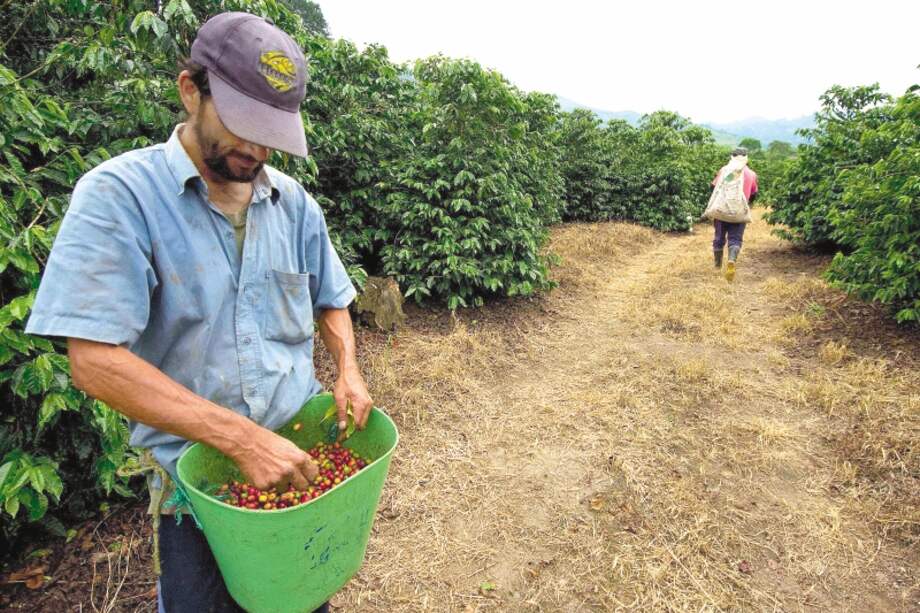 El 47,7 % de hogares carece de un título de propiedad, según cifras citadas por la Escuela de Gobierno. / AFP