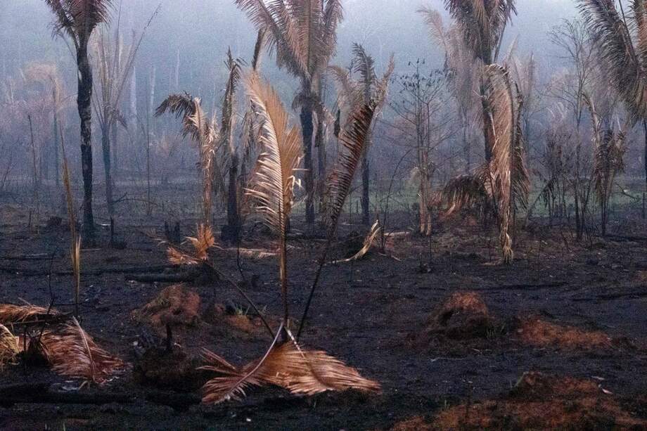 La Red Amazónica de Información Socioambiental Georreferenciada (RAISG) advirtió que “la Amazonía está mucho más amenazada que hace ocho años debido al avance de las actividades de extracción, de los proyectos de infraestructura".