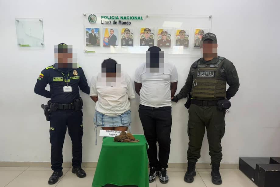 Los capturados fueron identificados como una mujer de 27 años y un hombre de 26 provenientes del Cesar.