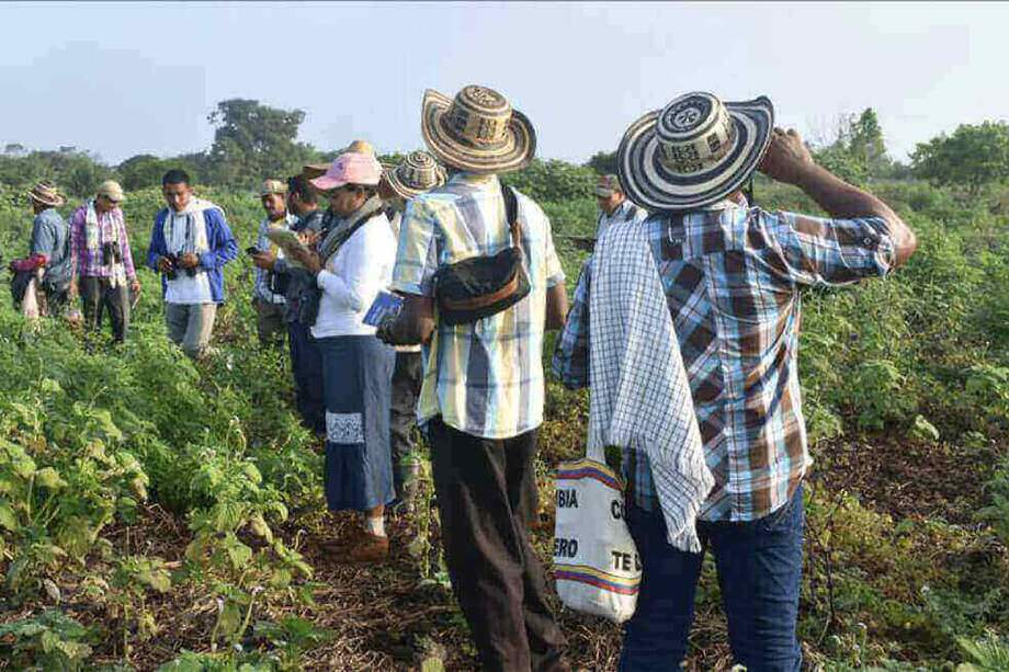 La Unidad de Víctimas asegura que a diario llegan a Medellín entre 20 y 30 familias desplazadas solicitando ayuda. / Archivo El Espectador