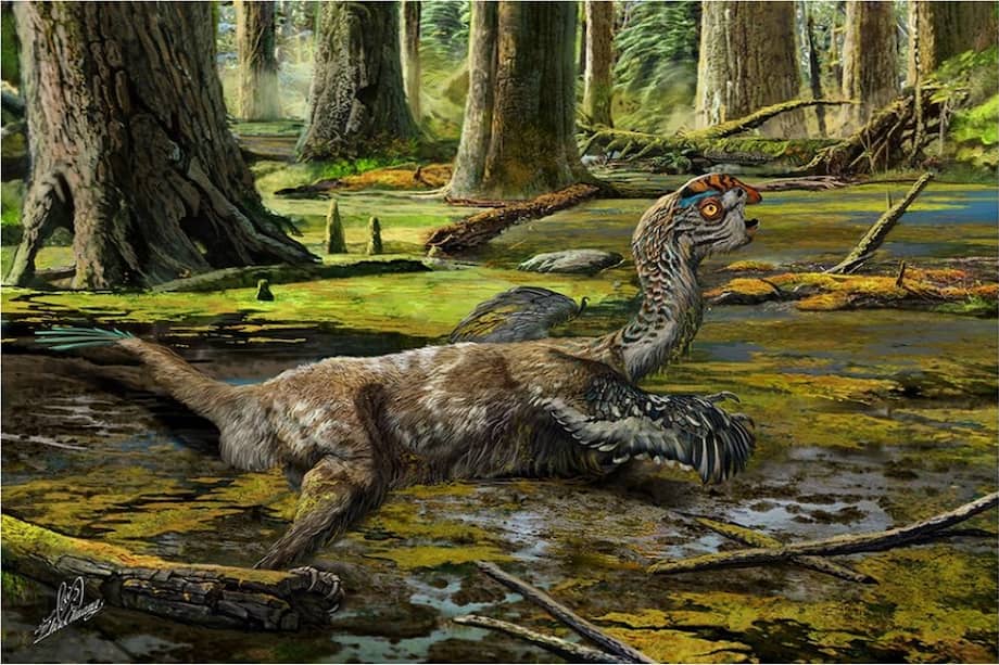 Recreación de cómo pudo ser el "Tongtianlong limosus". / Foto: Dibujo de Zhao Chuang - Scientific Reports