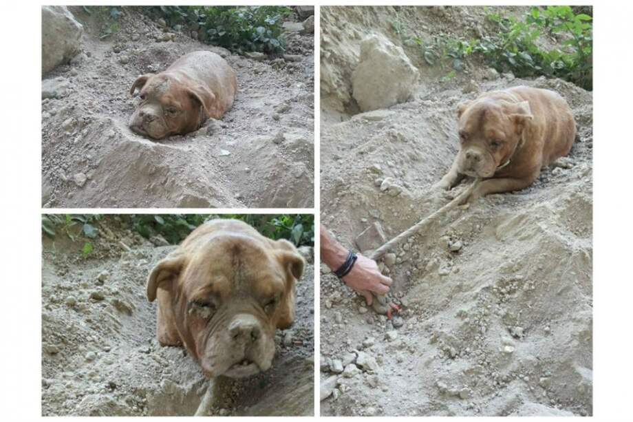 Facebook Pedro Dinis