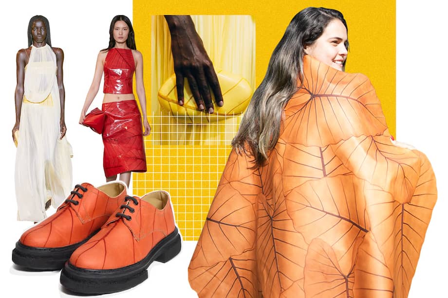 Las hojas de la "oreja de elefante" se convierten en ropa y accesorios. / Beleaf