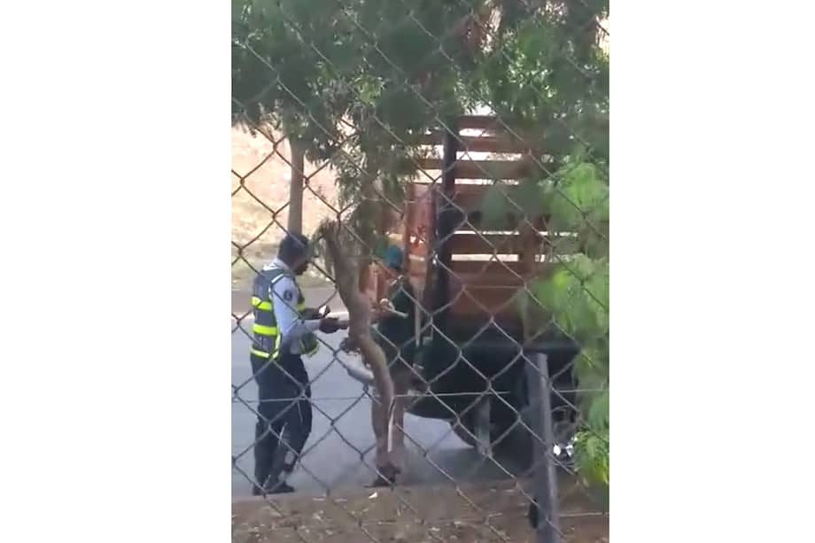 Captura de video: Cortesía.