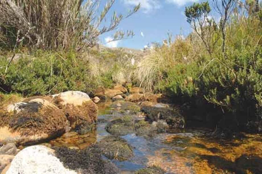 Archivo El Espectador / Archivo El Espectador