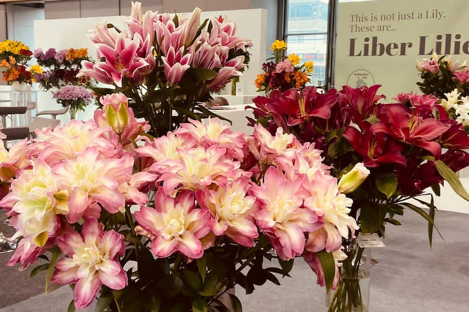 Proflora reúne a más de 1.600 visitantes internacionales y 300 expositores de diferentes países.