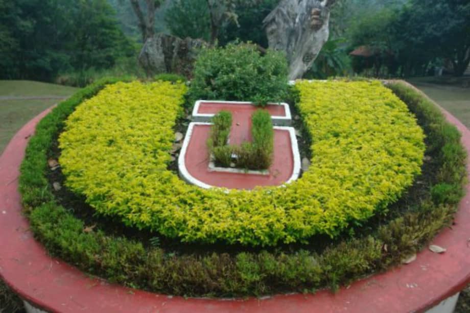 Tomada de Desarrollo.ut.edu.co