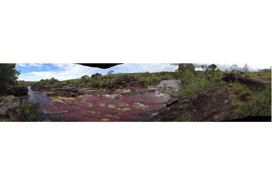 El renacimiento de Caño Cristales