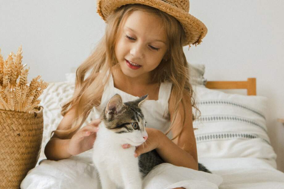 Los gatos deben tener nombres cortos y fáciles de pronunciar.