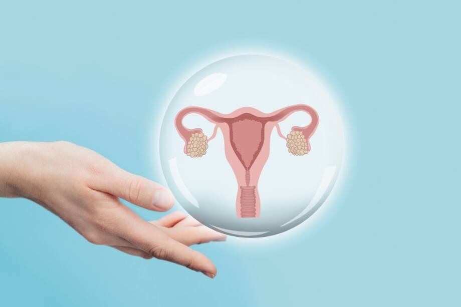 Mantener los ovarios en buen estado es fundamental para la salud reproductiva.