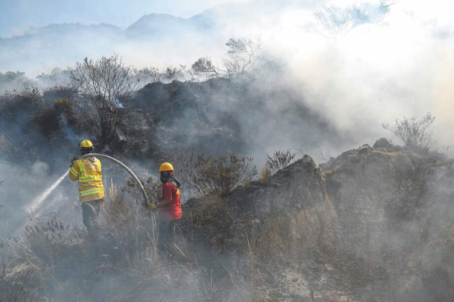 Bomberos trabajaron durante seis días en la extinción del incendio forestar en el cerro El Cable. / Jose Vargas