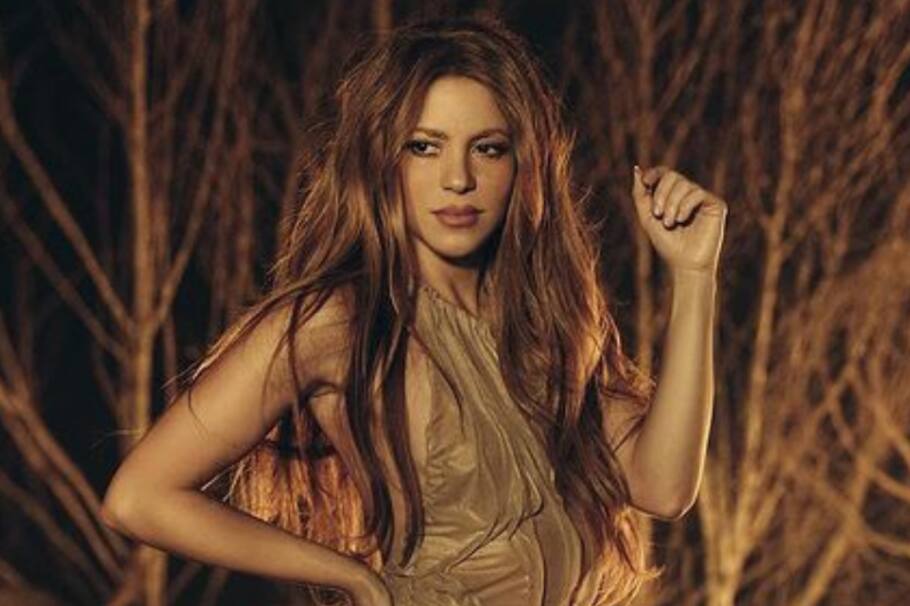 La colombiana tendría que pagar una millonaria suma para trasladar su colección a Estados Unidos.